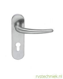 Proline Kortschild Ciro